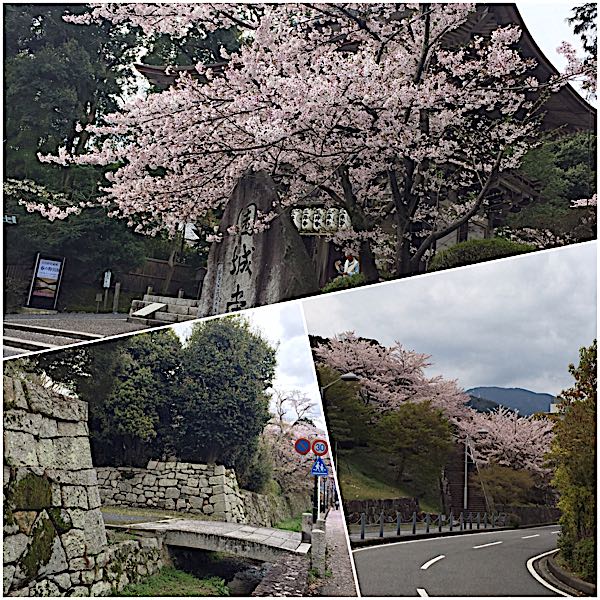 rblog-20160417093357-04.jpg