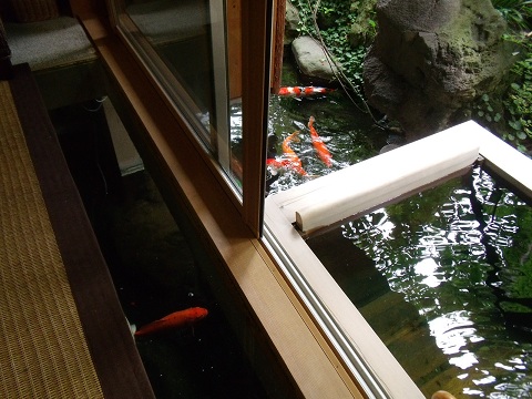 DSCF0539.JPG