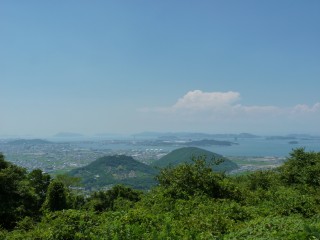 81.JPG