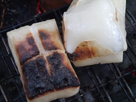 donndennyama131102013