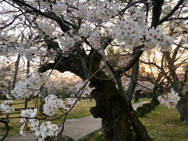 rblog-20180327001040-01.jpg
