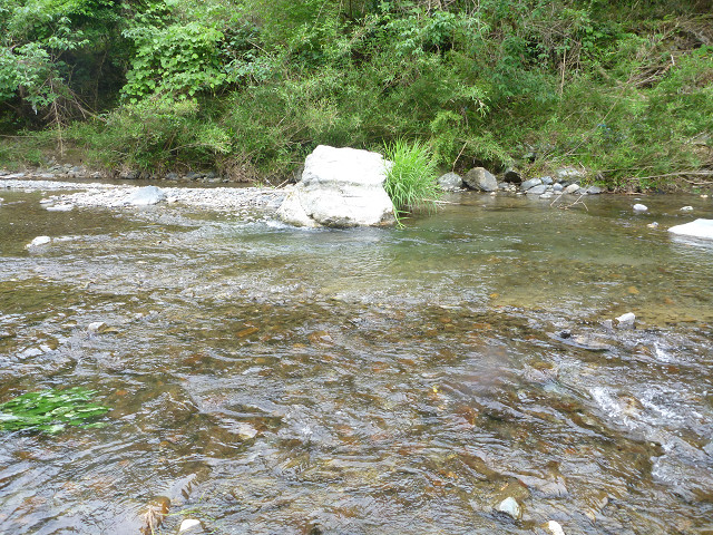 resize0014.jpg