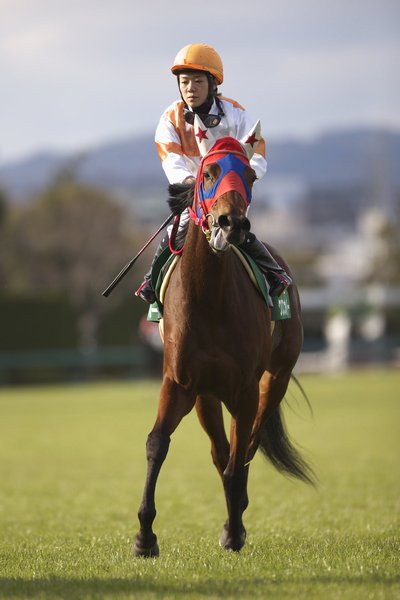 レース後