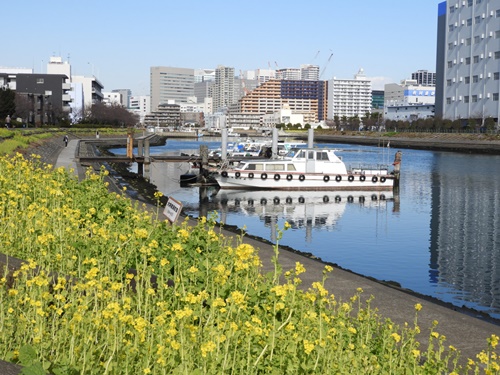 しながわ花海道にて