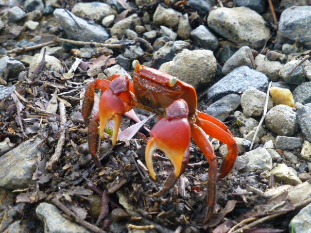 P1030386.JPG