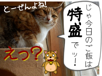 P4050015.png