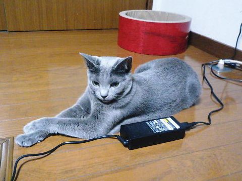 2014年06月17日_P1180851 - コピー.jpg