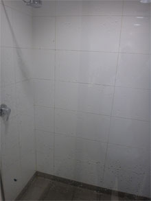 OZ1282.jpg