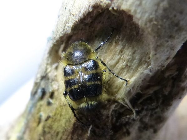 rblog-20140430055507-00.jpg