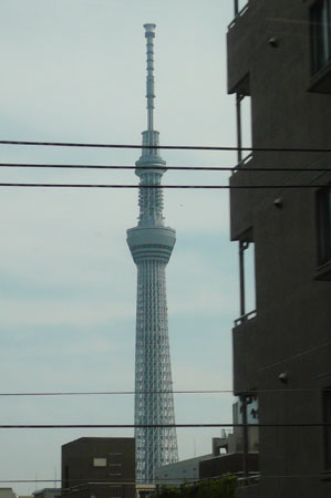 sky tree.jpg