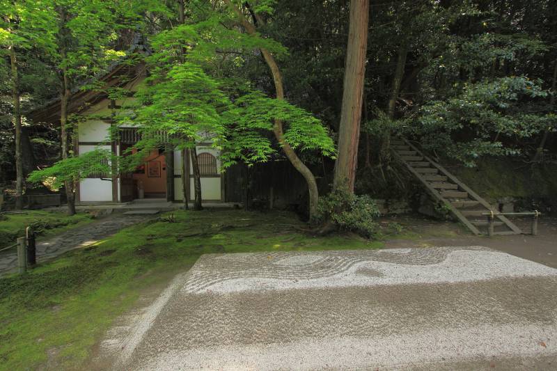 法然院_004白砂檀・季節変化.jpg