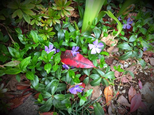 rblog-20160330183729-02.jpg
