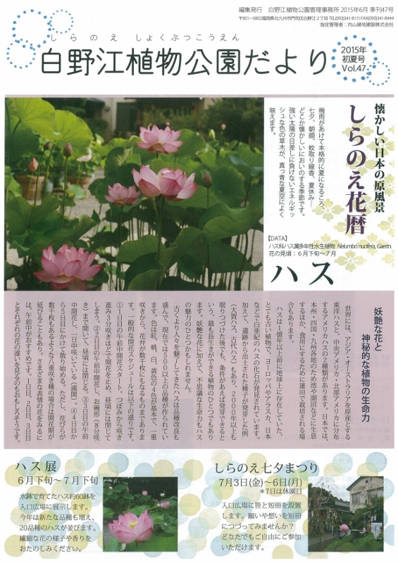 白野江・１