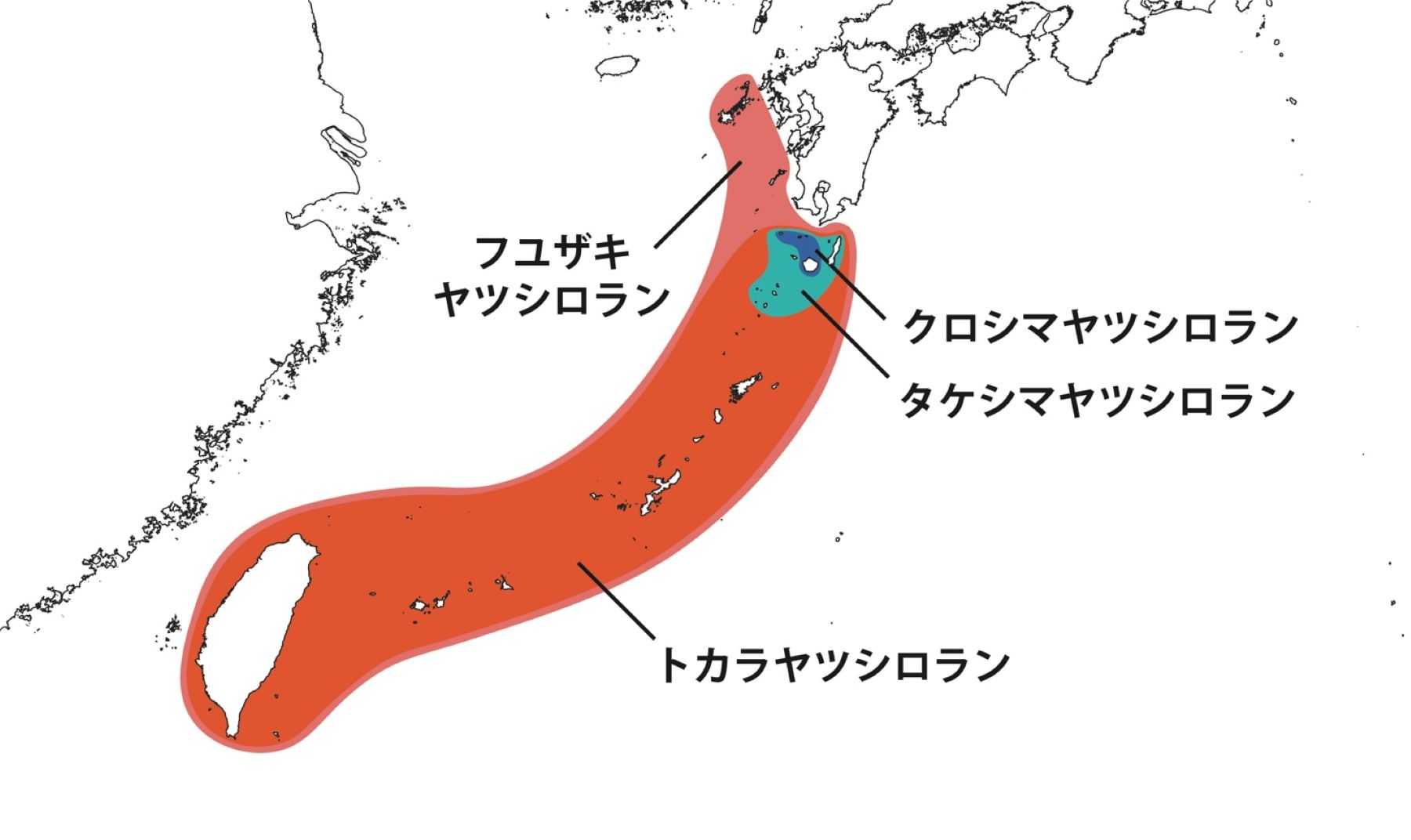 花を咲かせず自家受粉で種子を作り出すヤツシロラン、たった2000年の生物史しかない | 政治、現代史、進化生物学、人類学・考古学、旅行、映画