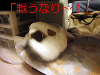 mumu8.jpg