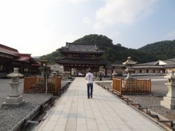 Dsc03889.jpg