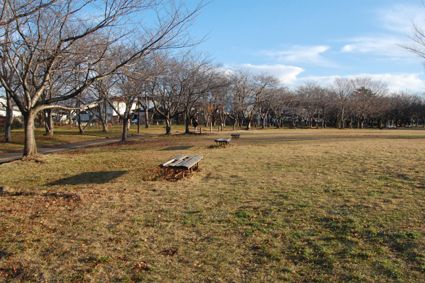 鶴岡 山形 市 求人 県