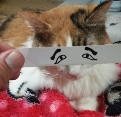 ミにわかせんぺい.JPG