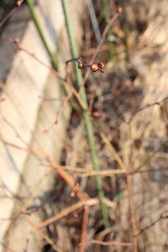 2015022502.JPG