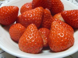 P1000639.JPG