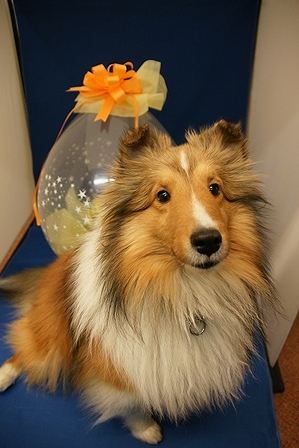 DSC06797.jpg