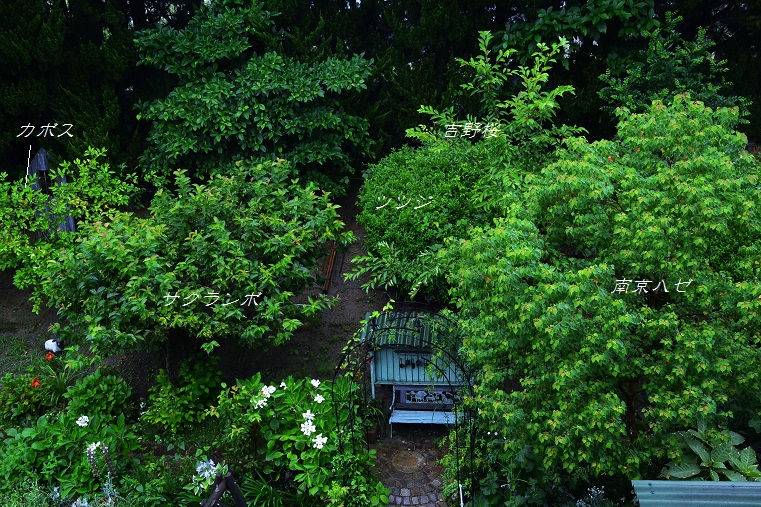 DSC_0069.JPG