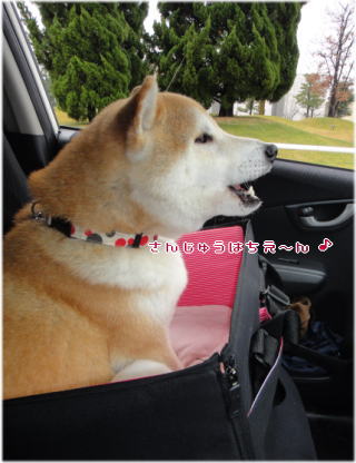 0130昼.jpg
