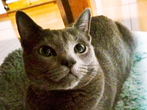 read_picCATWA9WM.jpg