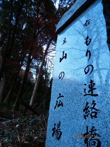 P1130039b20160113.jpg