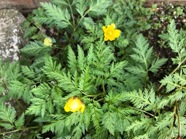 rblog-20180325190849-09.jpg