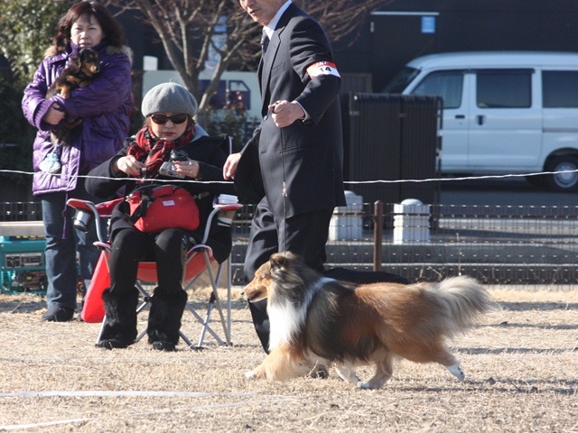 IMG_0363 - コピー.JPG