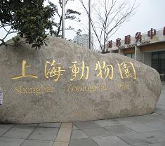上海６.jpg