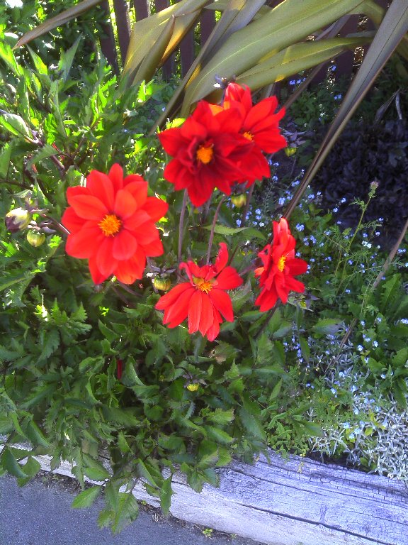 IMAGE001.jpg