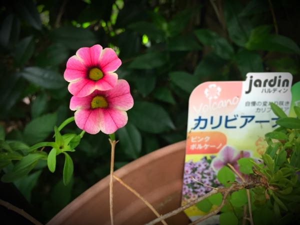 rblog-20160625182925-02.jpg
