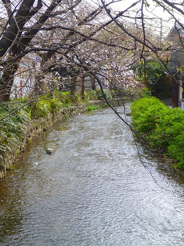 20130324木屋町仏光寺高瀬川