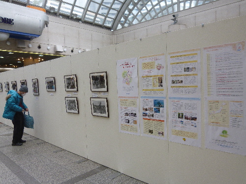 P1150220(1).JPG