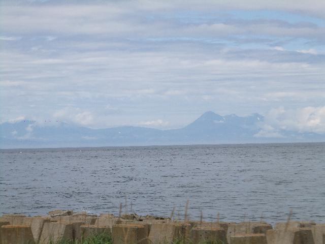 DSCF1531.jpg