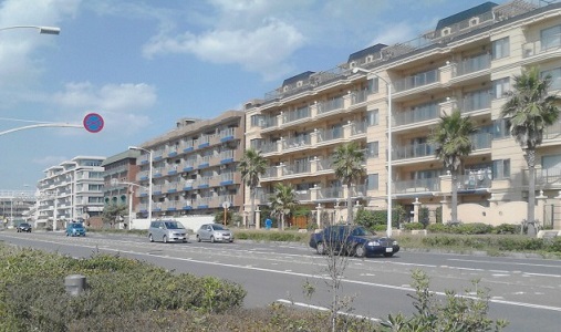 K0050516.JPG