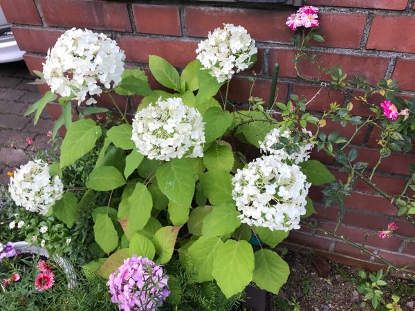 rblog-20180624181904-00.jpg