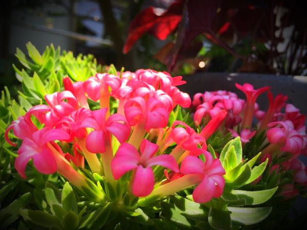 rblog-20150531144450-04.jpg
