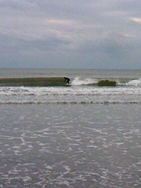 TS3Y0920.jpg