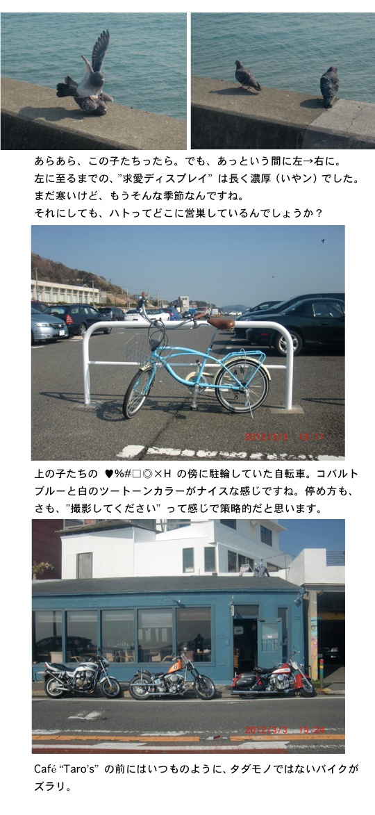 2012.03.03-3.jpg