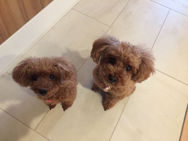 rblog-20161209113401-00.jpg