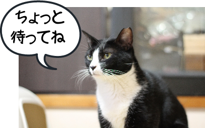 IMG_0451.png