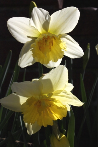 20160321003.jpg
