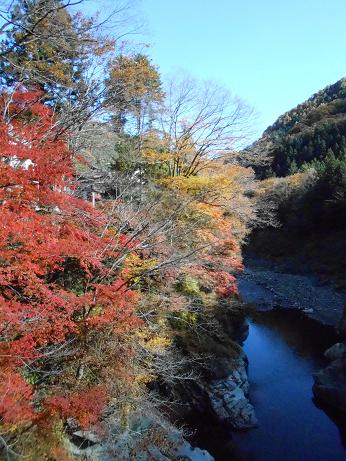 DSCN0672.jpg