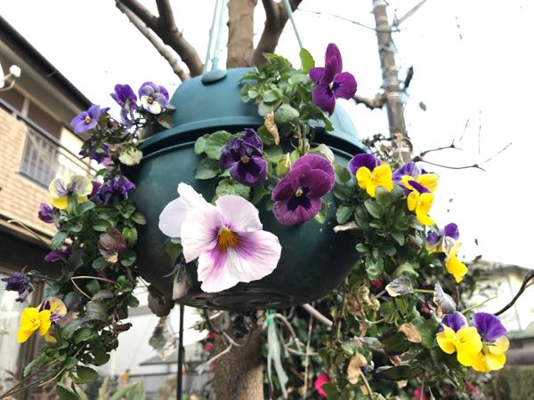 rblog-20170223222527-04.jpg