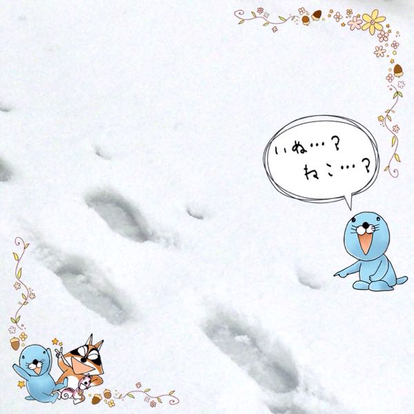 rblog-20150311085312-01.jpg
