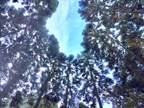 rblog-20161212090636-06.jpg