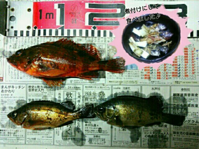 rblog-20140629165740-00.jpg